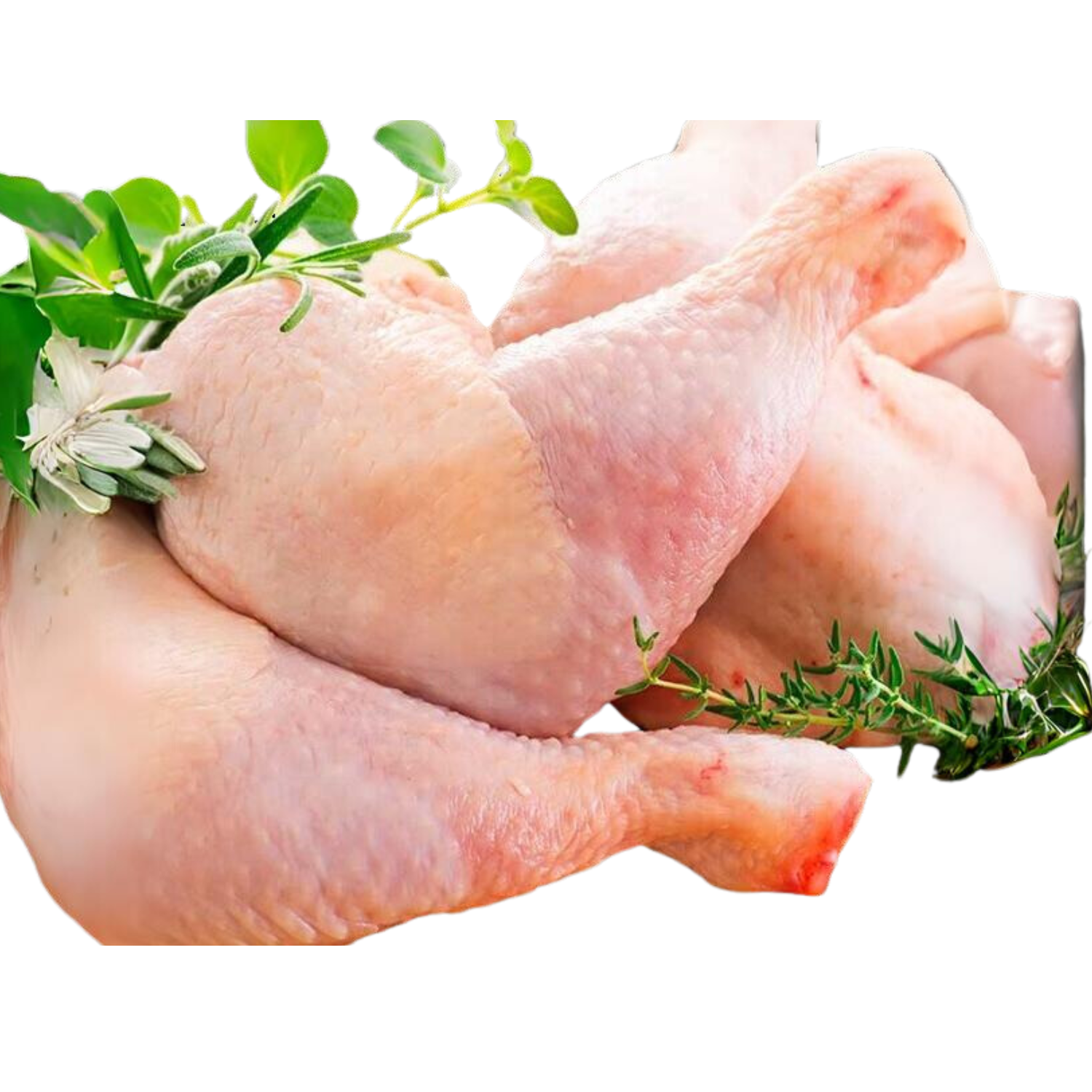 Fresh Chicken Whole Legs